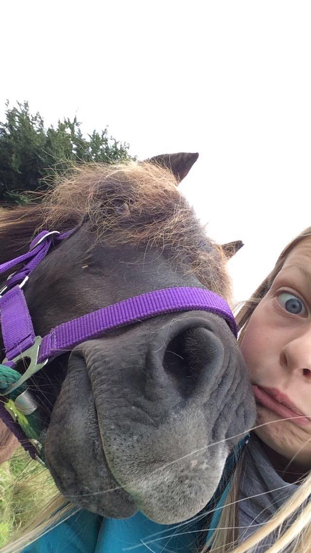 Anden særlig race Engtoft mille (RIP) billede 6