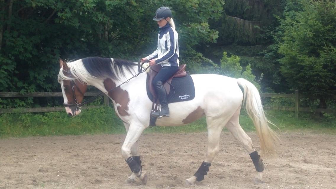 Pinto Something speciel billede 7