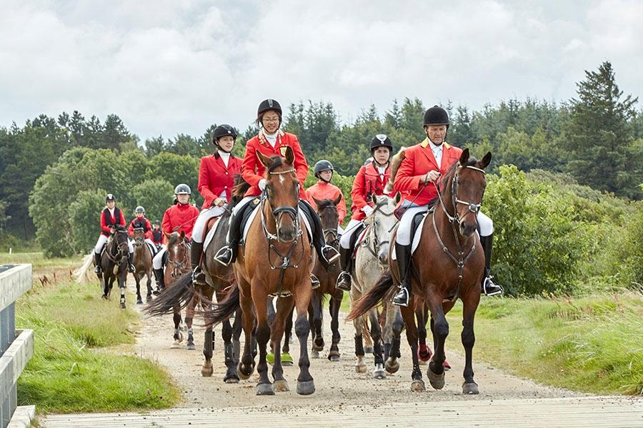 Dansk Varmblod Cheval - Jagtrideklubben Distrikt 11-13, Hjerl Hede (Flyndersø) 2016 billede 15