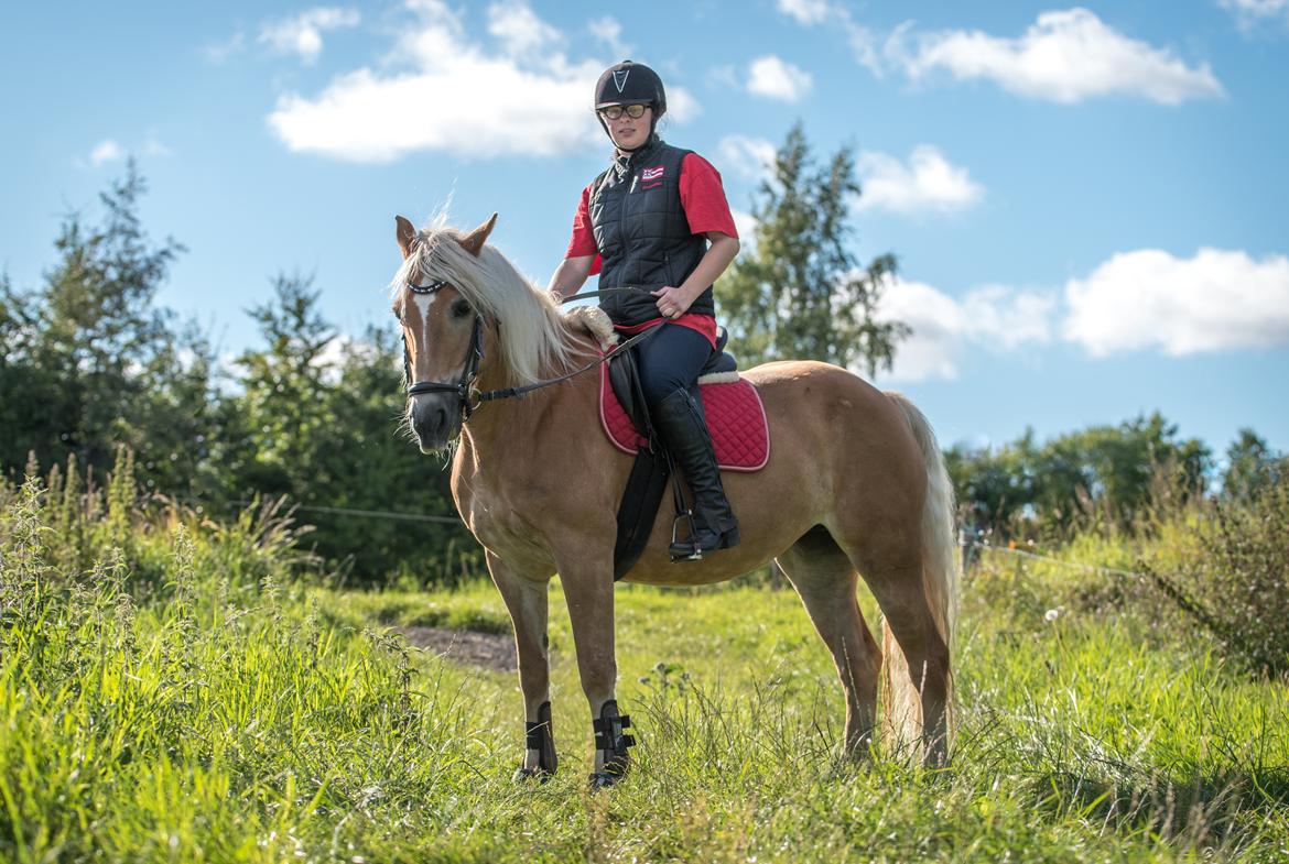 Tyroler Haflinger Astilbe - billede taget af Maiken Bang Photography billede 15