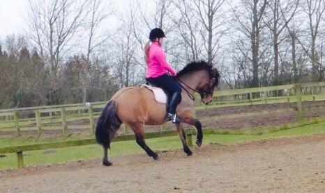 Anden særlig race Isabella<3 billede 1