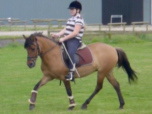 Anden særlig race Isabella<3 billede 3