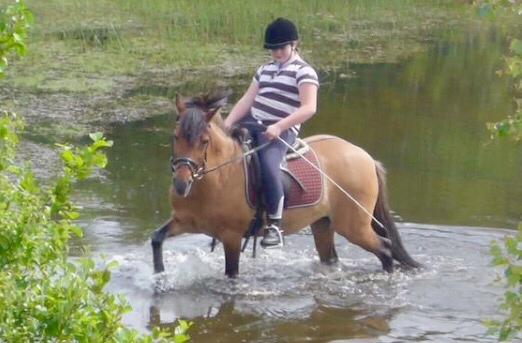 Anden særlig race Isabella<3 billede 2