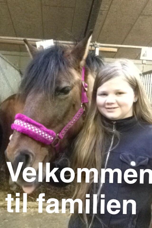 Anden særlig race Isabella<3 billede 11