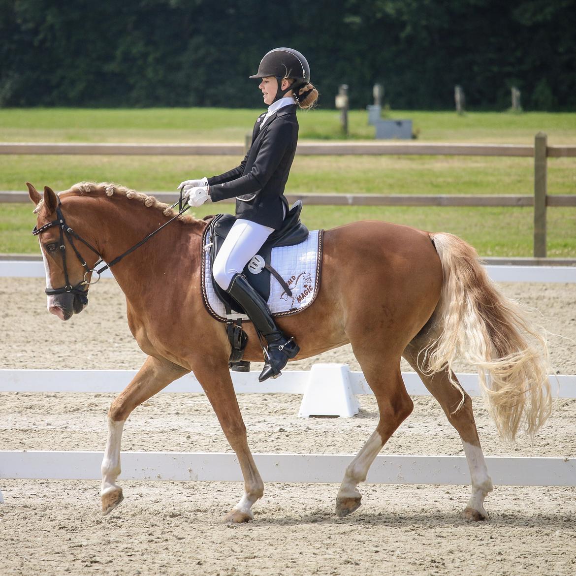 Tysk Sportspony DE VITO A-PONY - Landsstævne Hjallerup 2016 billede 13