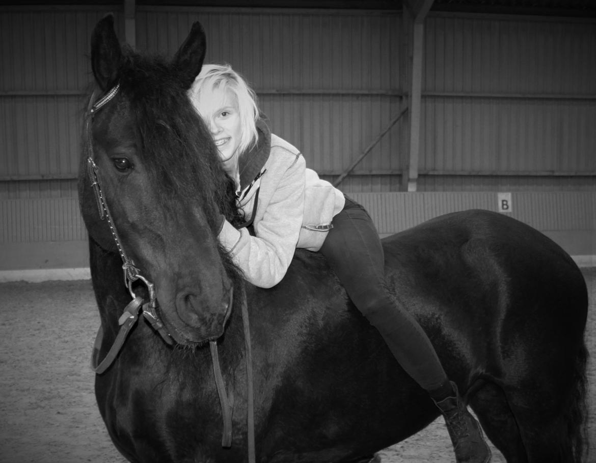 Frieser Tjark billede 1