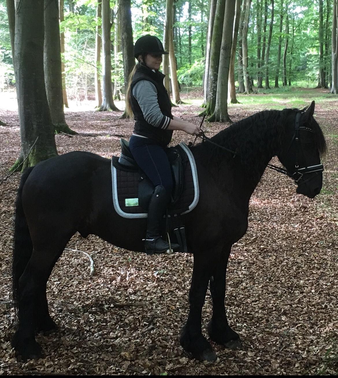 Frieser Barik billede 15