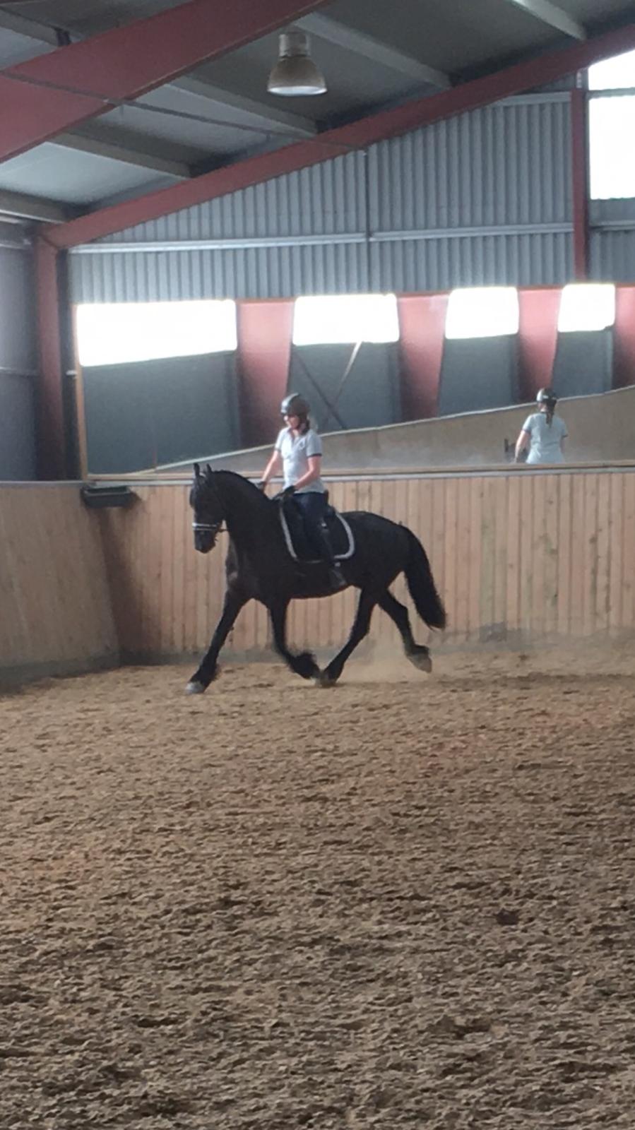 Frieser Barik billede 19