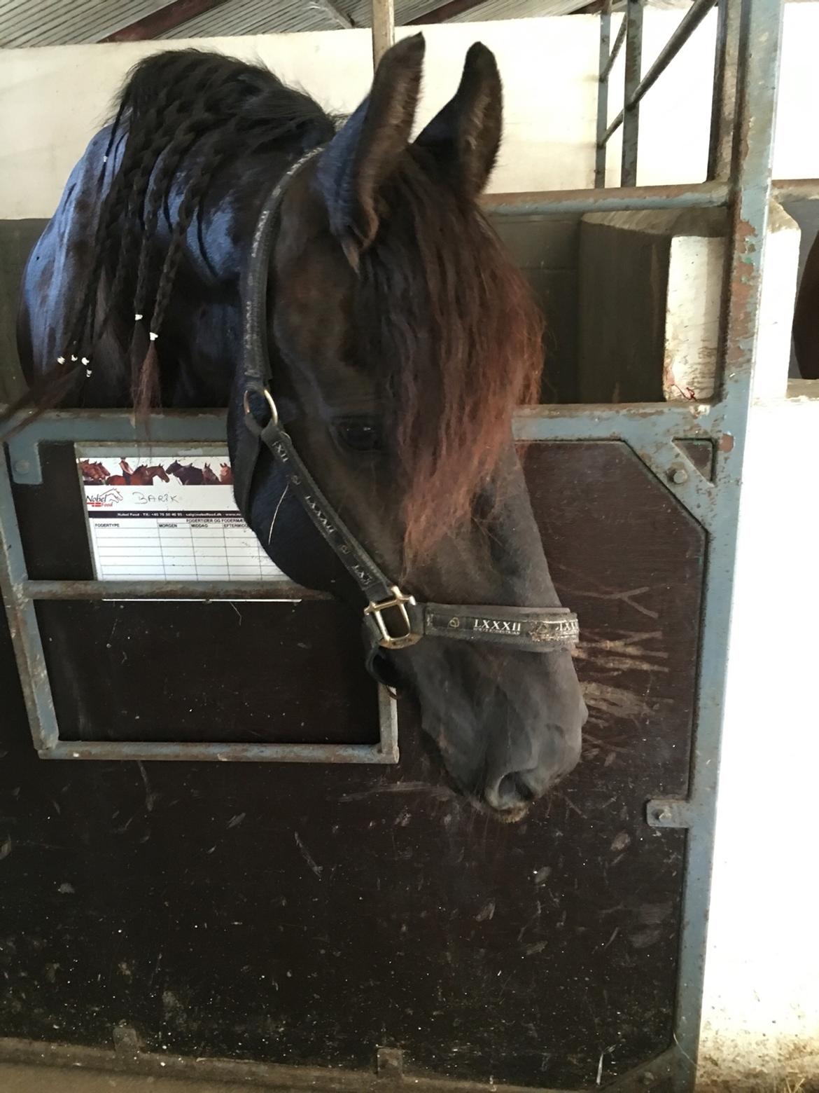 Frieser Barik billede 22