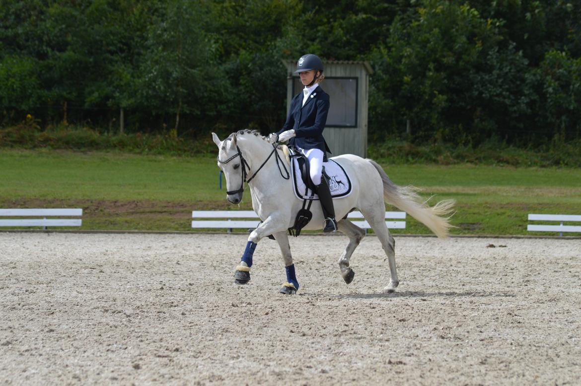 DSP Jean Le'Penn A PONY  - Helgstrand Cup 2016 billede 2