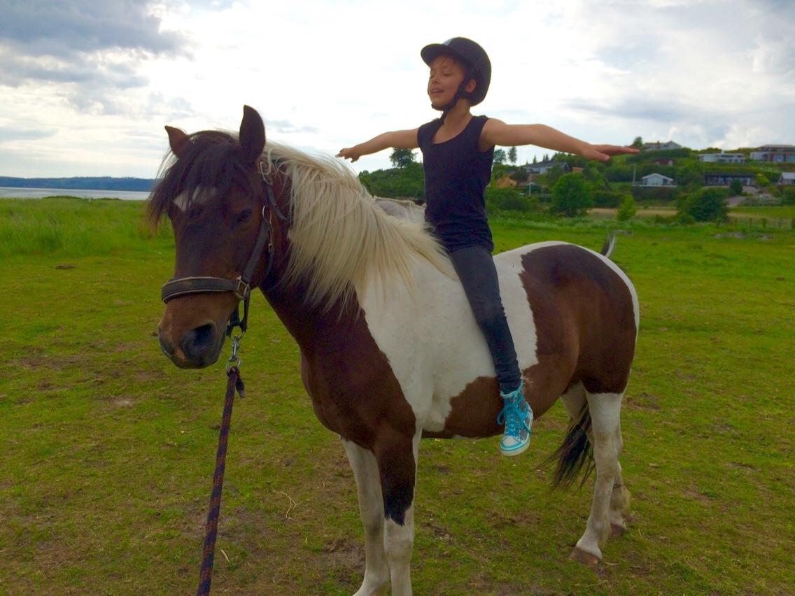 Anden særlig race Lotte RIP Min smukke pige billede 9