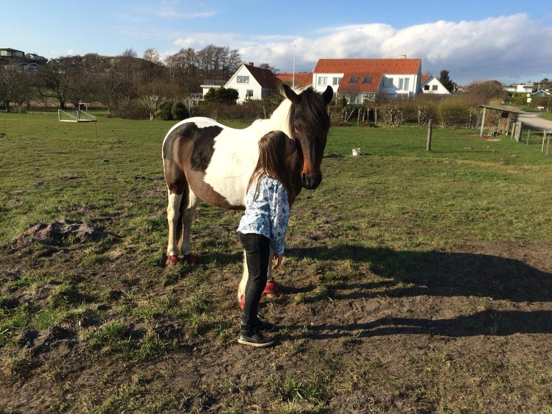 Anden særlig race Lotte RIP Min smukke pige billede 15