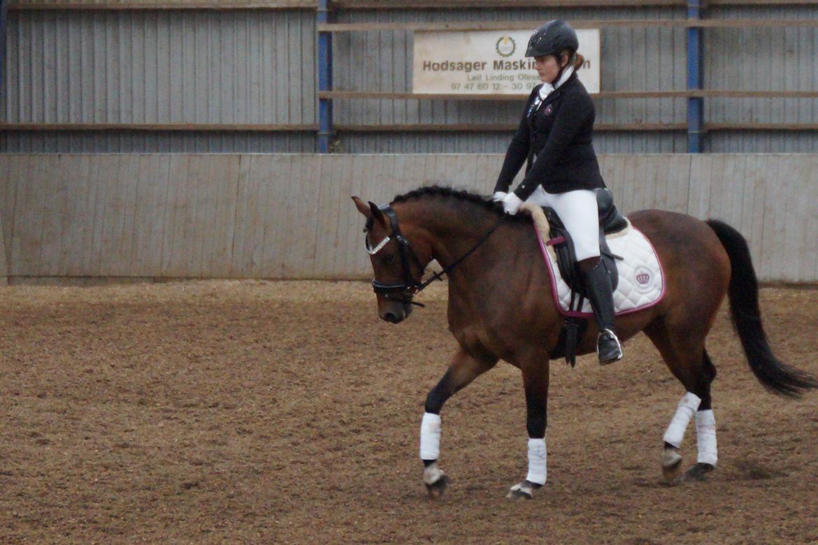 DSP Nagengaards lady madonna - så var det tid til start <3 billede 2