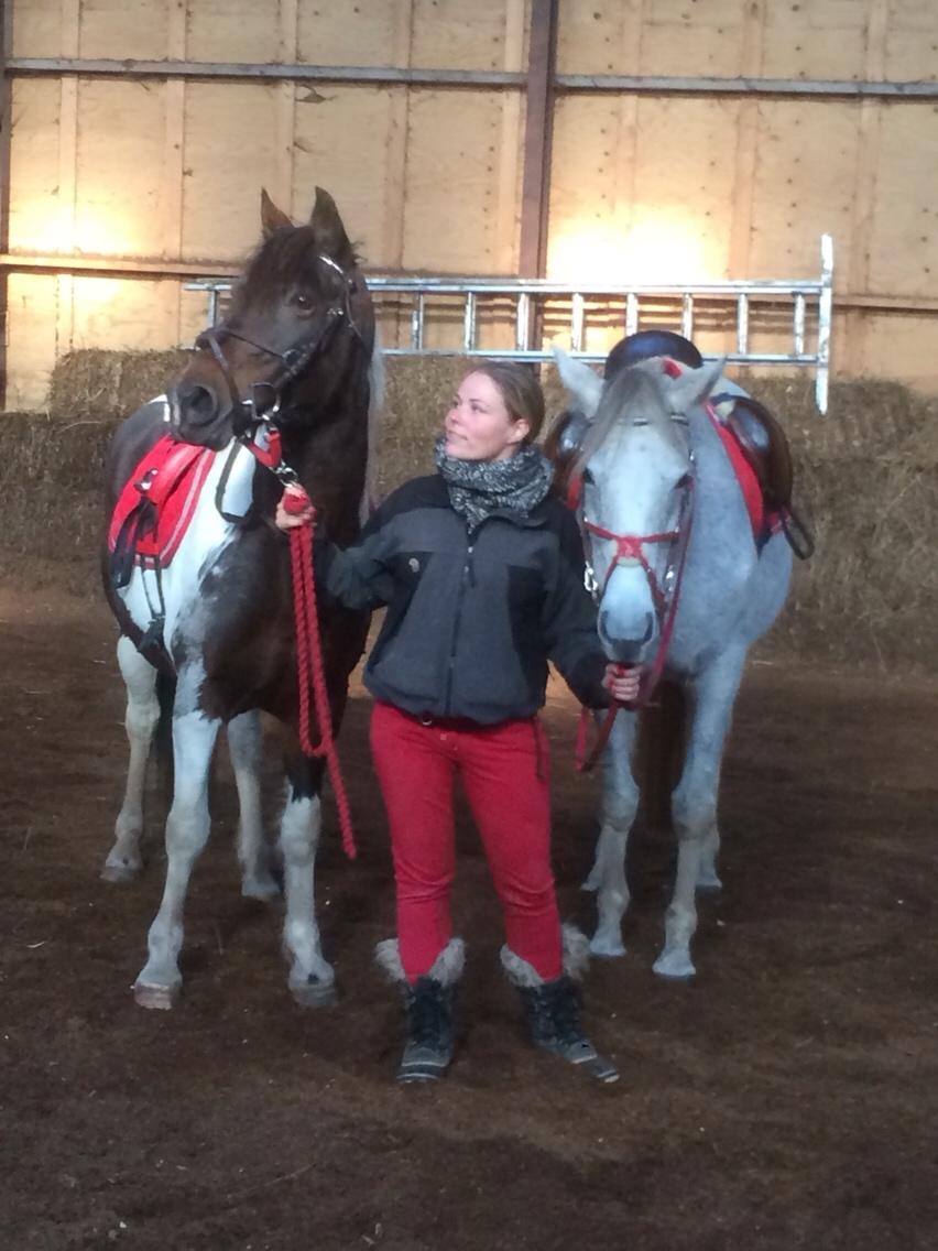 Anden særlig race Lotte RIP Min smukke pige billede 5