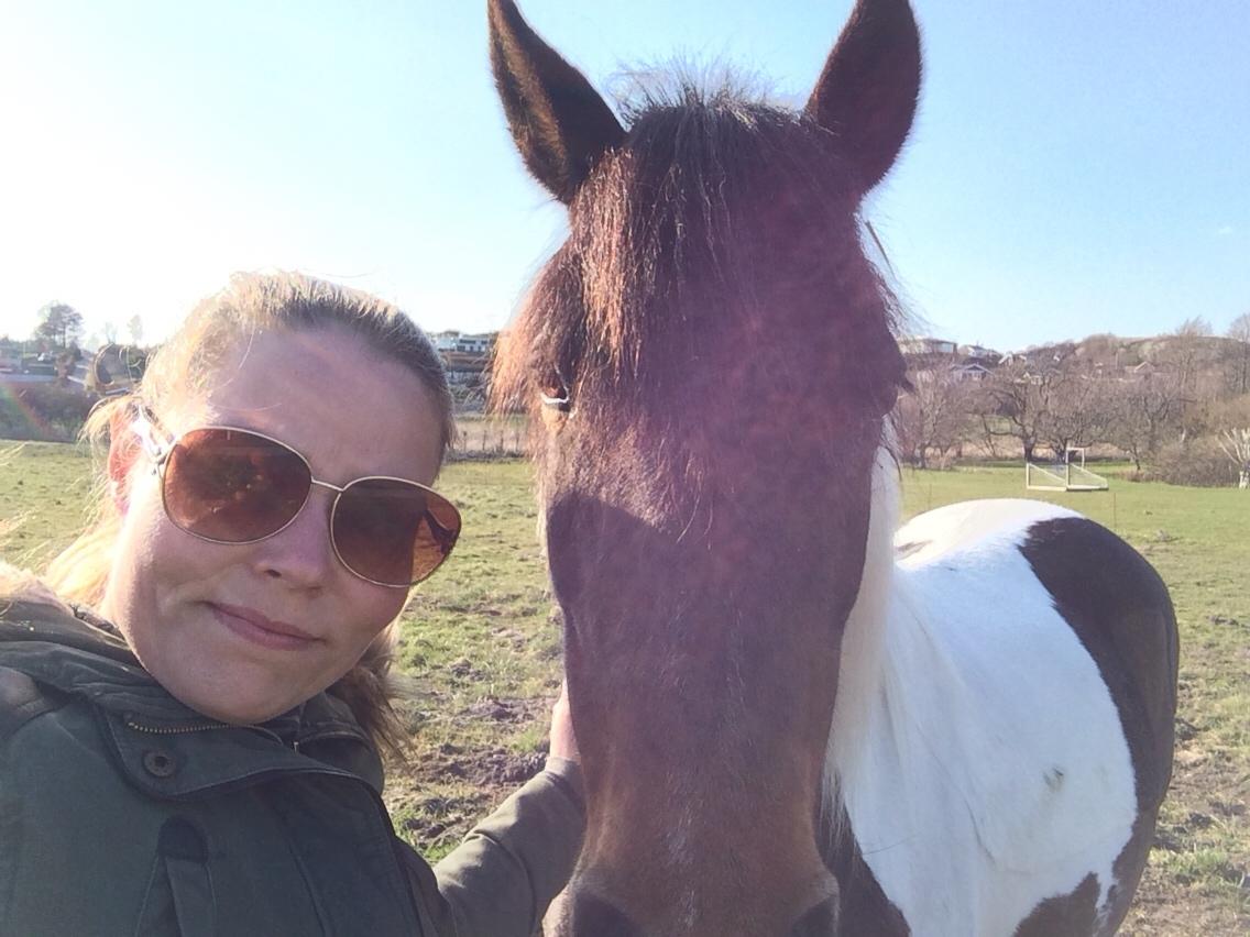 Anden særlig race Lotte RIP Min smukke pige billede 10