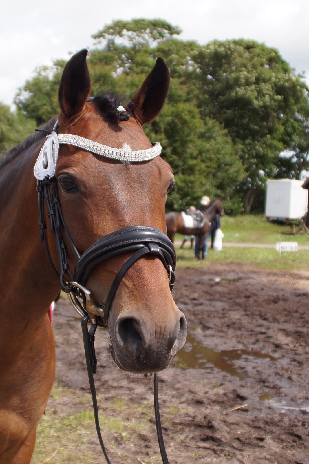 DSP Nagengaards lady madonna - nå der stod en og tog billeder jeg vil være med. billede 3