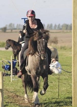 Islænder Fjandi Fra Raabyminde billede 13