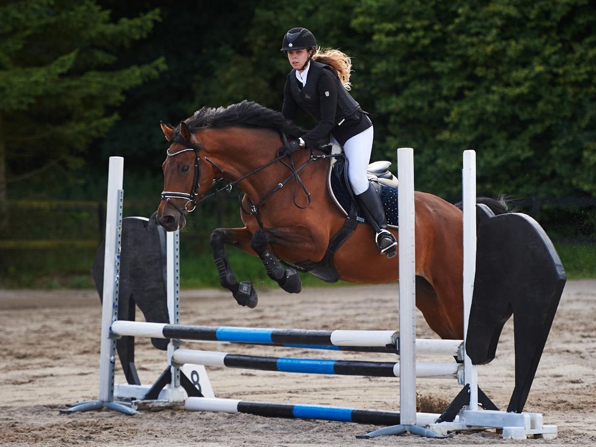 Dansk Varmblod Storbjergs Cassiopeia RDS - 0 fejl i 70cm til sløjfespring på NSR. D. 10-Aug-2016. Foto: Animal-Print billede 3