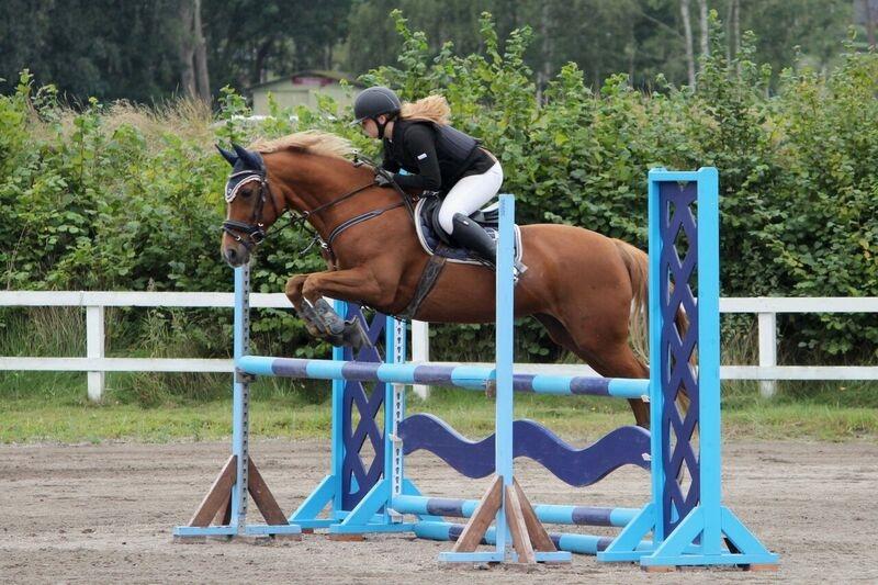 Appaloosa Sequoia van de lorkeershoeve <3 - LC(100) HUR C-stævne august 2016 foto Sofie Andersen billede 27