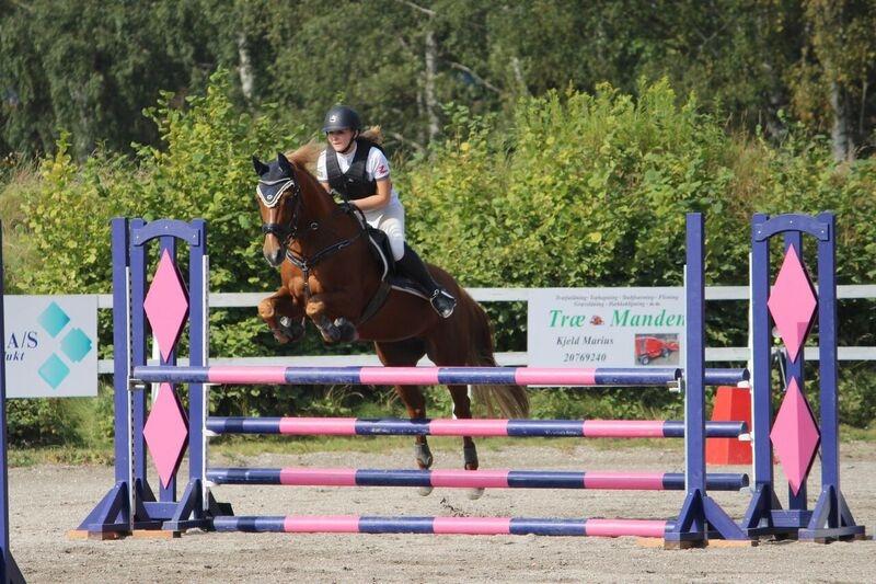 Appaloosa Sequoia van de lorkeershoeve <3 - LB* (105) HUR c-stævne 21/8-16 foto: sofie andersen billede 17