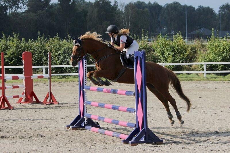 Appaloosa Sequoia van de lorkeershoeve <3 - LB* (105) HUR C-stævne august 2016 foto: Sofie Andersen billede 40