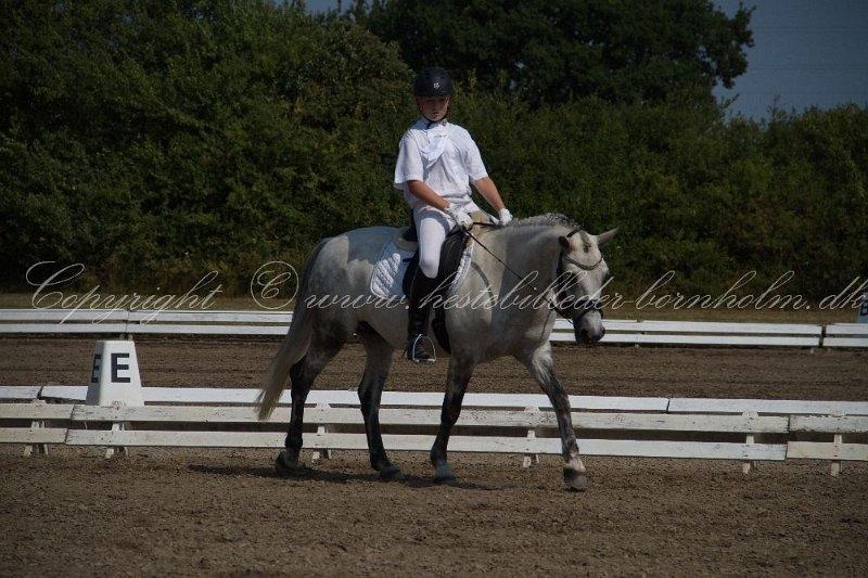 Connemara Maskenkols Honey Pie billede 15