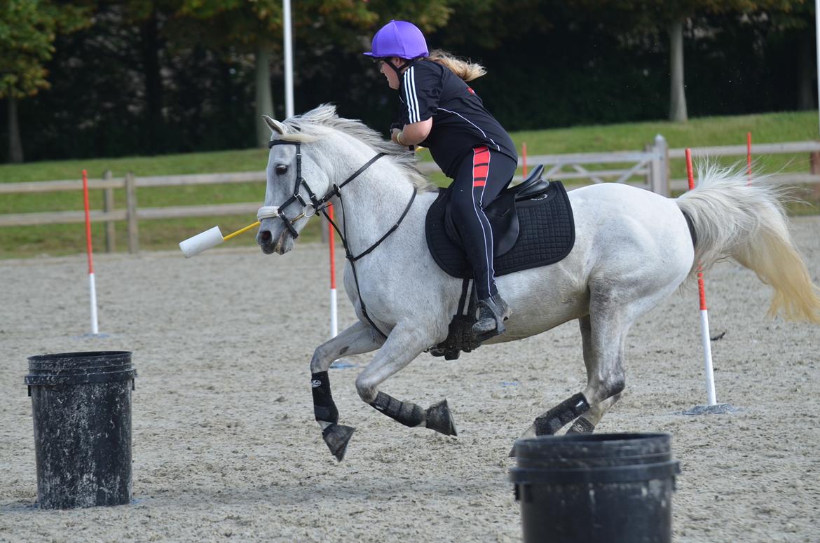 DSP Linette // Lynette - VM par 2016! Jeg er så stolt og glad, vi blev nr. 4 i F finalen og dermed nr. 45 ud af 70 i alt <3 Fotograf: Palle Rasmussen billede 14