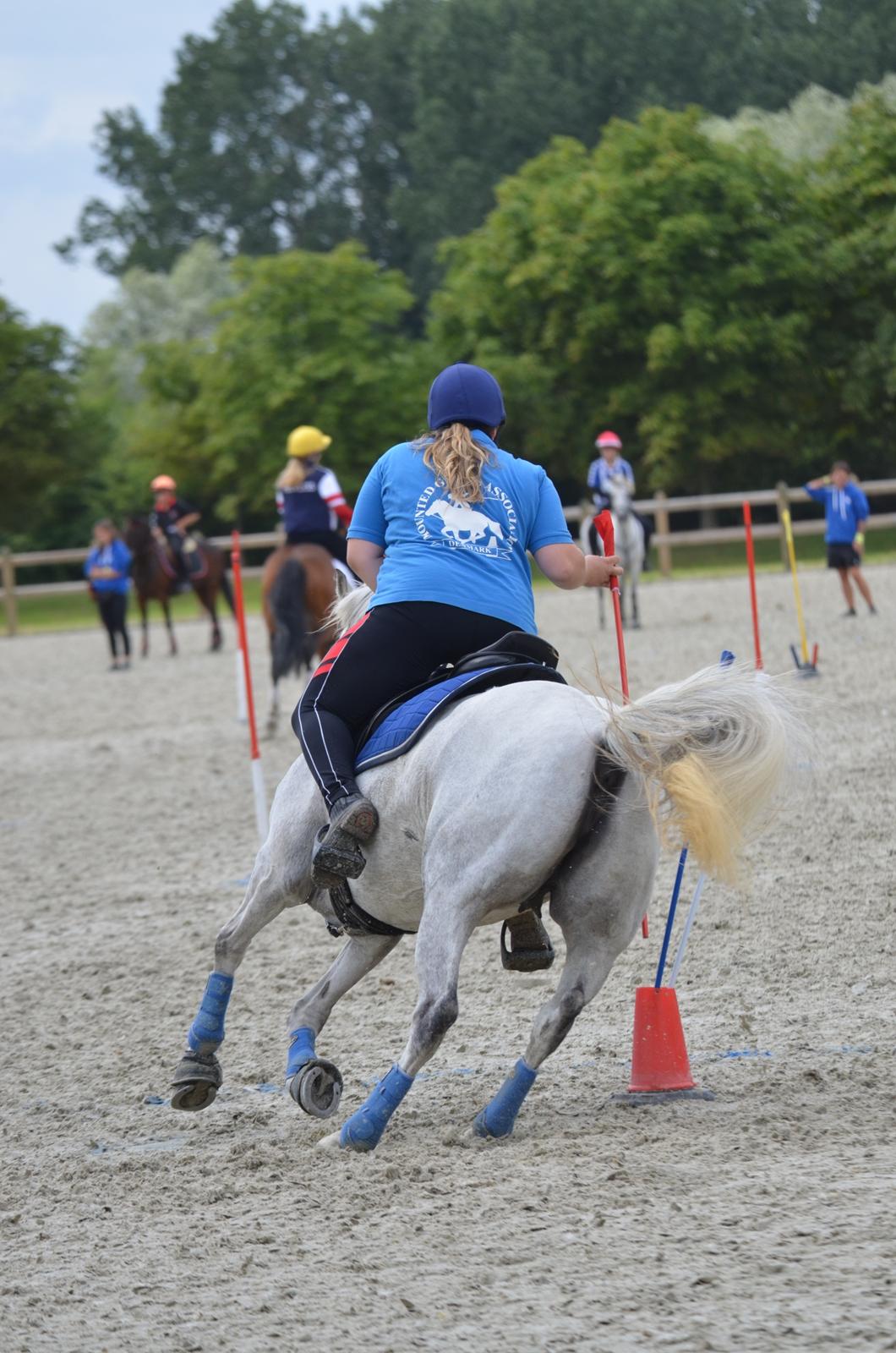 DSP Linette // Lynette - VM par 2016! Jeg er så stolt og glad, vi blev nr. 4 i F finalen og dermed nr. 45 ud af 70 i alt <3 Fotograf: Palle Rasmussen billede 27