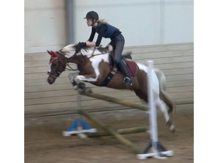 Pinto Svalebos Leonardo (B-pony) - springkursus 100 cm billede 1