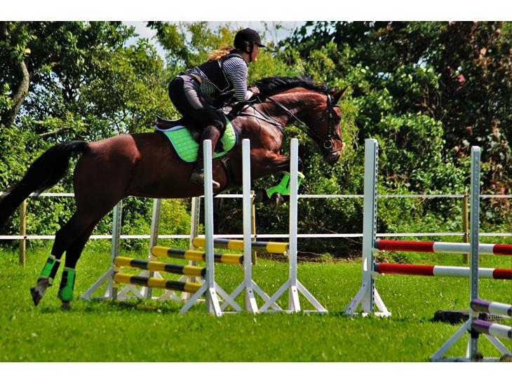 {{currentPhoto.altText}} billede {{currentPhoto.number}}