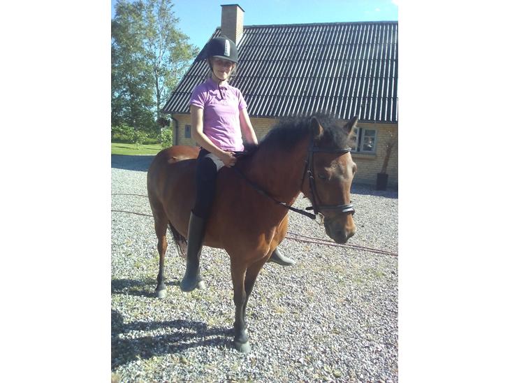 {{currentPhoto.altText}} billede {{currentPhoto.number}}