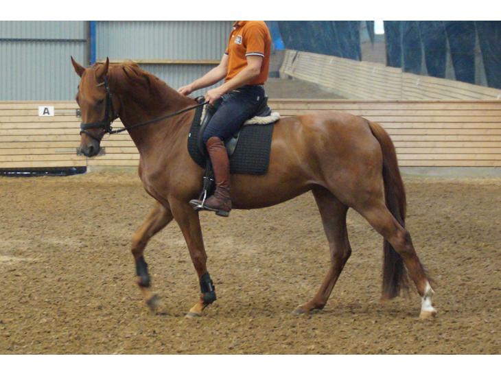 {{currentPhoto.altText}} billede {{currentPhoto.number}}