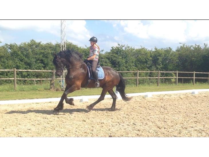 {{currentPhoto.altText}} billede {{currentPhoto.number}}