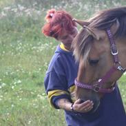 Anden særlig race Freja