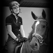 Palomino Sovangs allúre