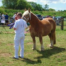 Jyde Majse tindbæklund