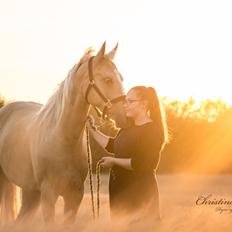 Palomino Kvolsbæk's Exclusive Enya