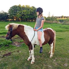 Anden særlig race Prins Felix