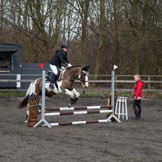 Pinto Handson/Flødebollen<3