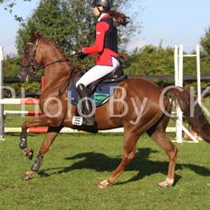 Anden særlig race Top  murdoch