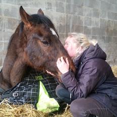 Fuldblod (XX) Second Chance Jojo 