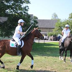 Anden særlig race Bacardi (The Lady <3)