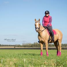 Palomino Kvolsbæk's Exclusive Enya