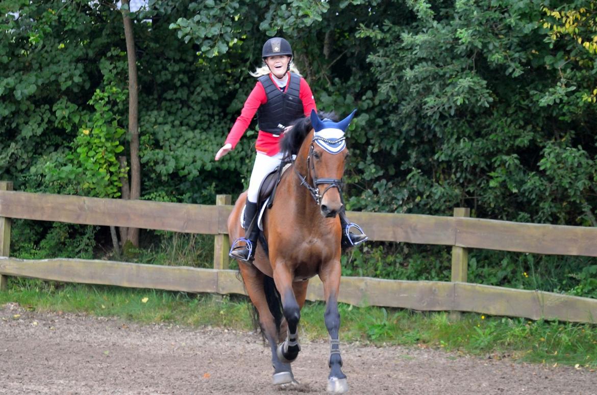 Dansk Varmblod Malu - S - Lykkelig over at vi gennemførte 12 fejl på banen og 7 på tid, vi tog os den tid det tar' billede 3