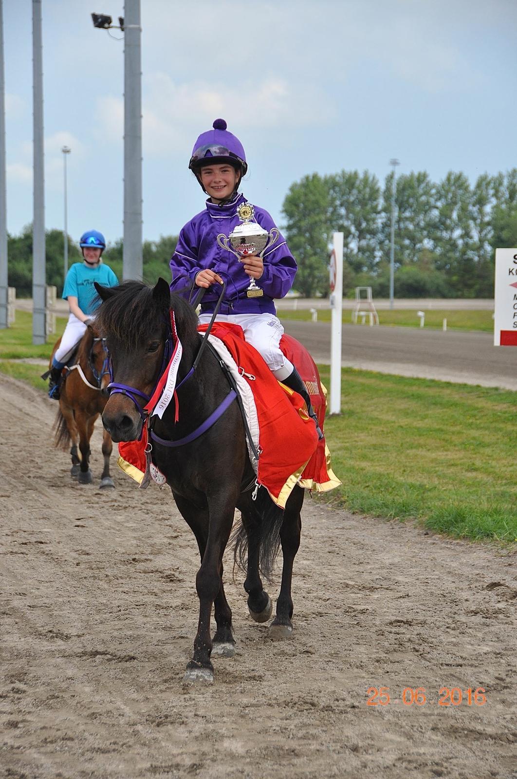 Islænder Una fra Skovbogaard - Præmieoverrækkelse til DM i monte 2016 <3 billede 17