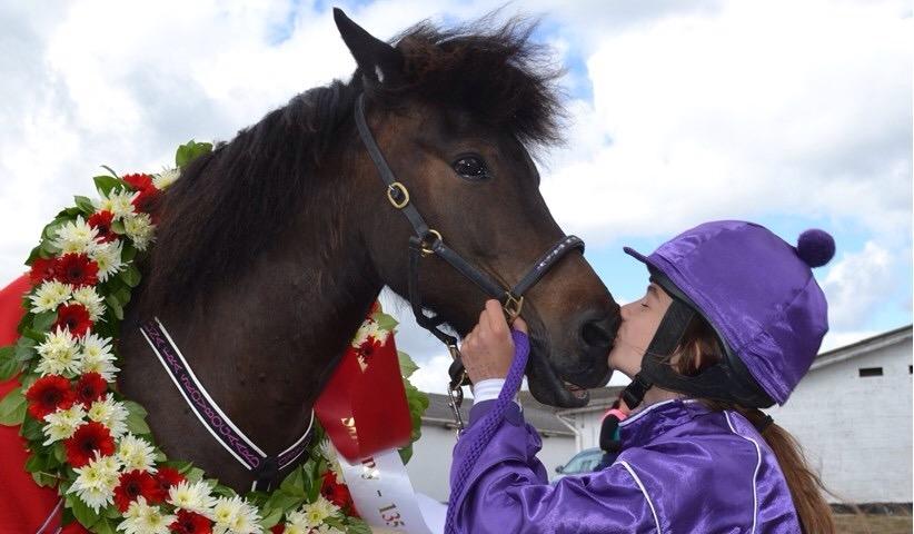 Islænder Una fra Skovbogaard - Una får et kys på mulen efter dejren i DM i ponytrav 2016 <3 Hun syntes egentlig det var noget pjat og ville da hellere lave noget andet :D Fotograf: Søren Aaen billede 1