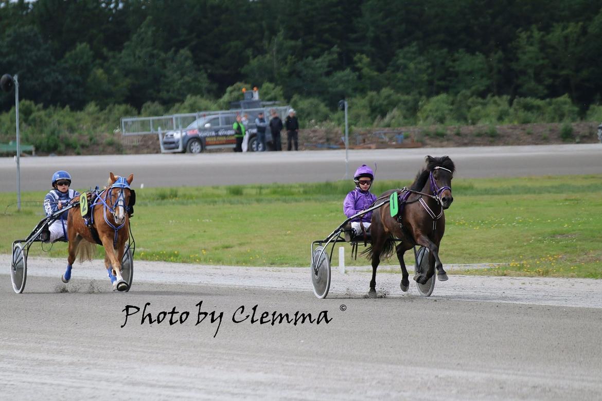 Islænder Una fra Skovbogaard - Opløb- DM ponytrav 2016. Fotograf: Photo by Clemma billede 20
