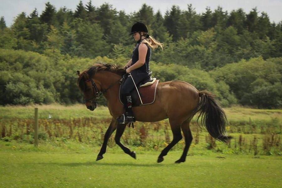 Anden særlig race Isabella<3 billede 14