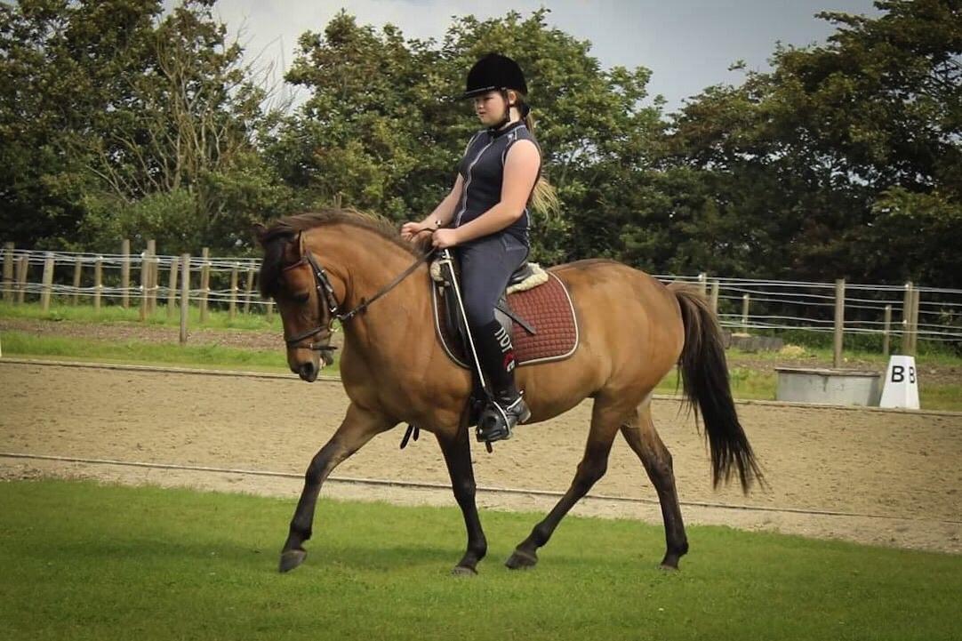 Anden særlig race Isabella<3 billede 15