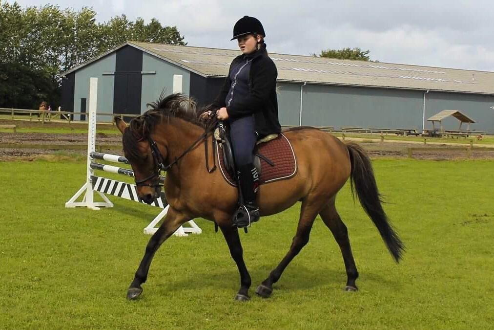 Anden særlig race Isabella<3 billede 16